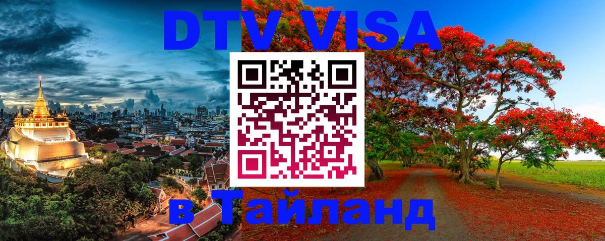 Оформление DTV визы под ключ: стоимость и тарифы, только загранпаспорт - Саратов  19.11.2025 